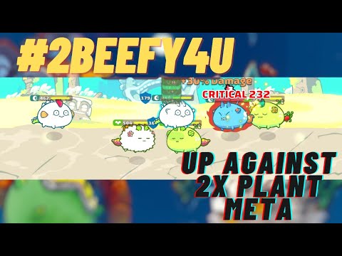 Beefy Enough??? Tri Spike Highlights Season 19