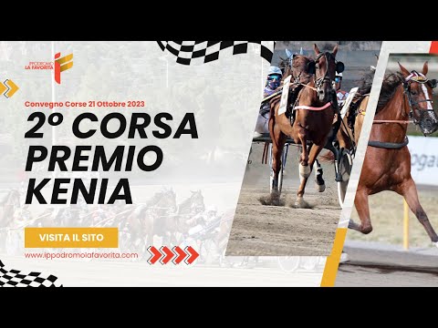 II Corsa del 21 Ottobre 2023 - 2 Anni - Metri 2000