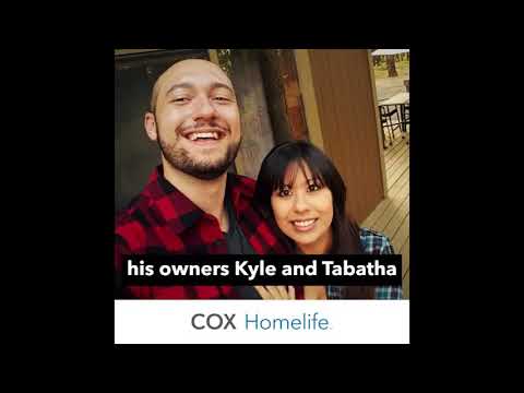 Vermont Academy vs IMG Academy (Full Game) National Prep Showcase on Yurview 11/24/19