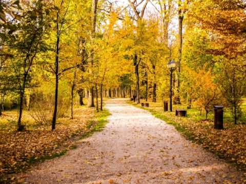 Colaj cântări creștine "Nelu Gabor "