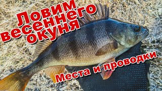 Рыбалка на крупного окуня в апреле 2020