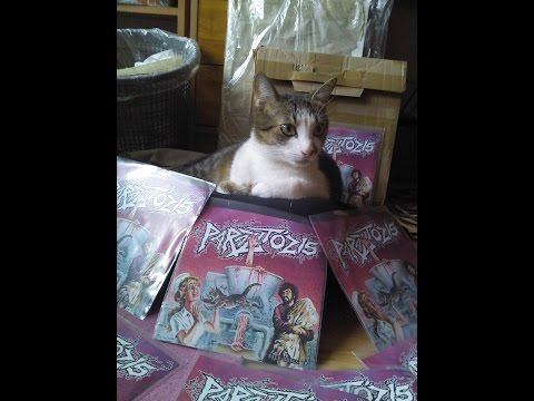 Parazitózis - Nice Songs 7" EP [2015]