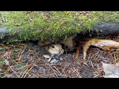 엄마가 힌트 줘서 여기까지 온 거야?