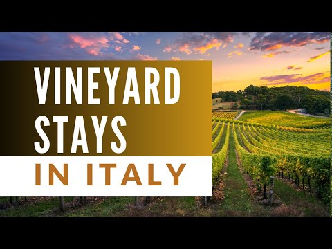 Live The Tuscan Dream: Vineyard Retreats That Won't Empty Your Wallet