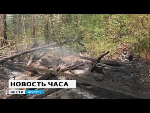 Режим ЧС ввели в Тайшетском районе в связи с лесными пожарами