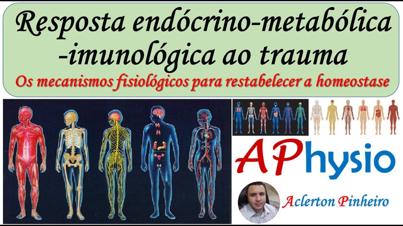 Resposta Endócrino-Metabólica-Imunológica ao Trauma (REMIT)