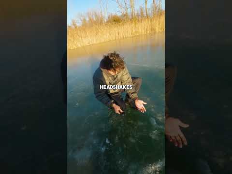 Big Fish on a Small Lure