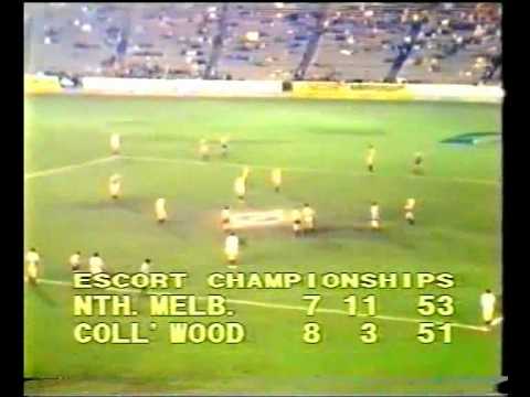 Escort Cup 1981 Quarter Final - North Melb v Collingwood