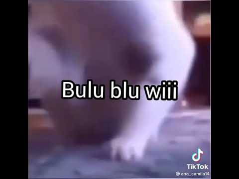 Bulu Bulu Wii xd