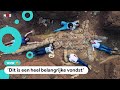 Reusachtige zee-dino gevonden in een woestijn