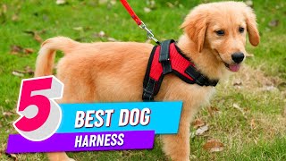 Top 5 Best Dog Harness Review in 2022