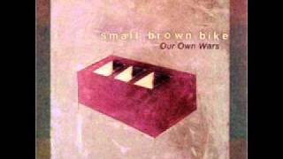 Small Brown Bike - In Tune