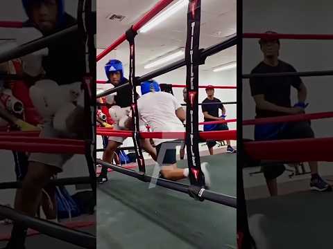 Gervonta Davis SPARRING HARD showing fast hands 🥊 #gervontadavis #tankdavis #boxing