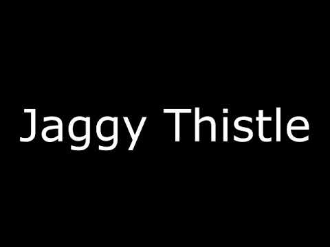 Jaggy Thistle