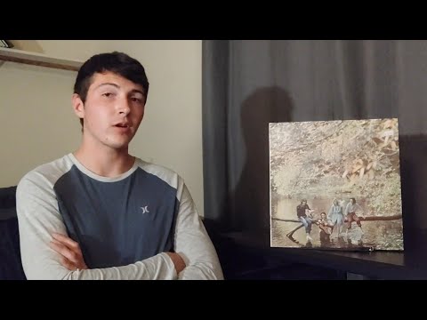 Wings - Wild Life Review