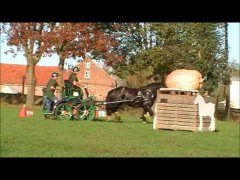 DKT - Frank Houben - vaardigheid - Vollezele - 19/10/2014