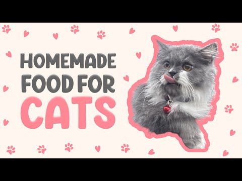 Purr-fect Homemade Cat Food: A Comprehensive Guide