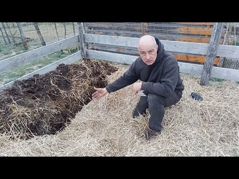 Mélymulcs 30 - Vetés (répa,retek,borsó+hagyma) hogy áll a humusz réteg? - mélymulcs minőség javítása