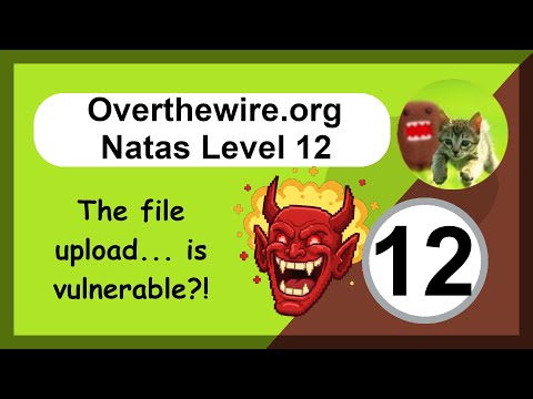 Overthewire - Natas - Level 12 - Web App Hacking - File Upload Attack