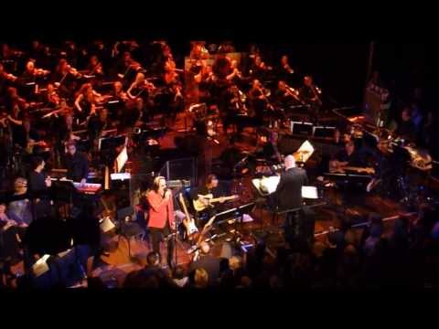 Love Science - Todd Rundgren & Metropole Orkest, Paradiso november 11, 2012