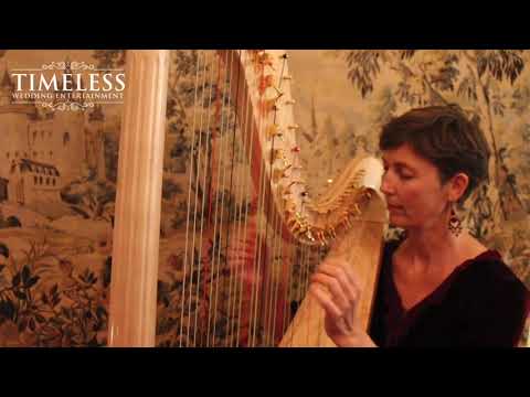 Timeless Wedding Entertainment video.