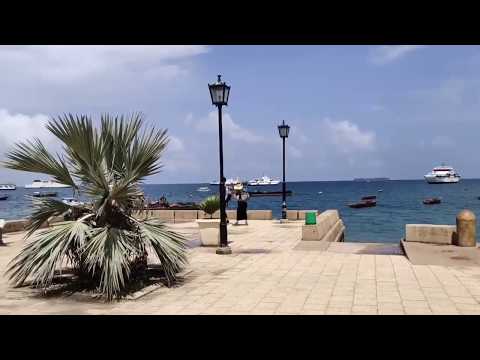 Excursão rápida ao parque Forodhani em Zanzibar, África Oriental