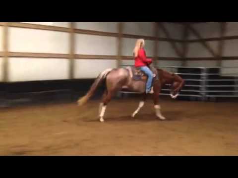 For Sale: 2011 Mare by All Time Fancy