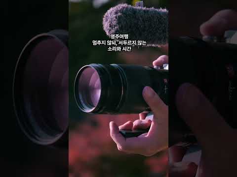 2025 영주 유튜브 영상 공모전【최우수】