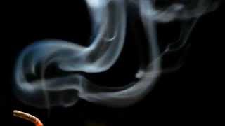 Passion Burns - Elo The Source Music