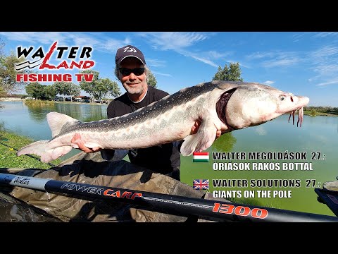 EPISODE 27: Óriások rakós bottal - Giants on the pole