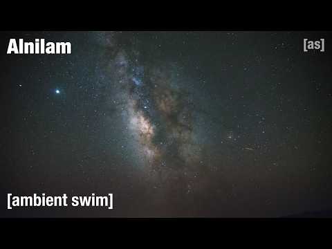 Alnilam | Ambient Swim | adult swim