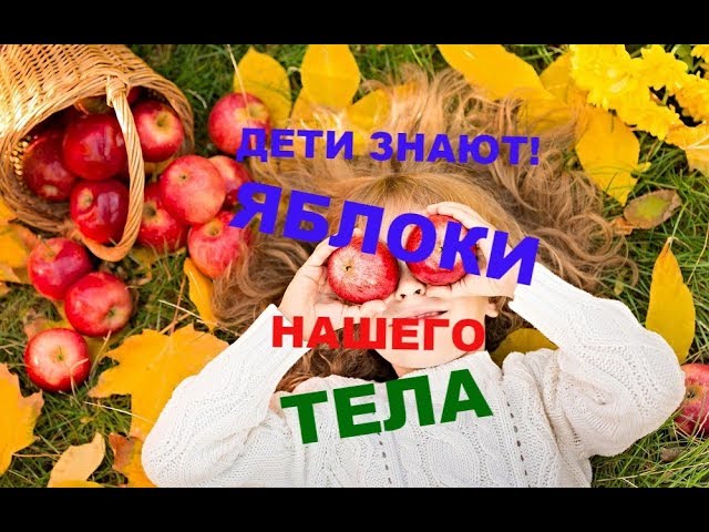 ? ???ДЕТИ ЗНАЮТ? ЯБЛОКИ НАШЕГО ТЕЛА?