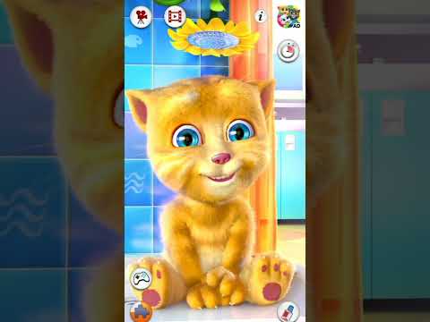 Cat sound meo meo 😂😂 Amazing cat voice