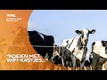 Pas op! Het is vandaag 1 april