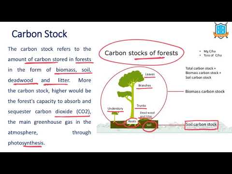 What is Carbon Stock ? || Carbon Stock అంటే ఏమిటి?