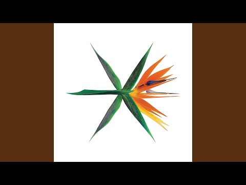 다이아몬드 Diamond