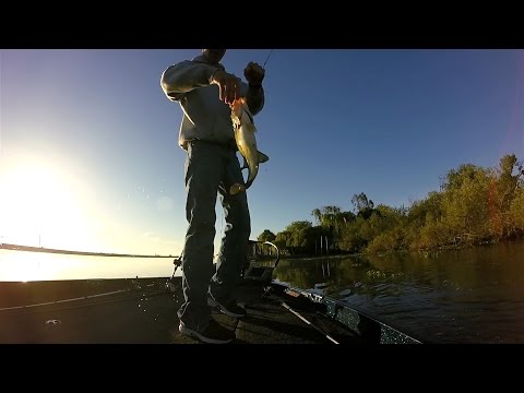 GoPro: Ryan Bochmann - Best Catch 06.01.15 - Fish