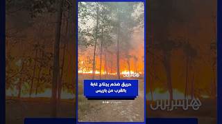 حريق ضخم يجتاح غابة فونتينبلو الشهيرة بالقرب من باريس thumbnail