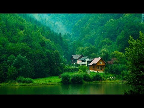 Preatures singer isabella manfredi reveals ual harassment in music industry