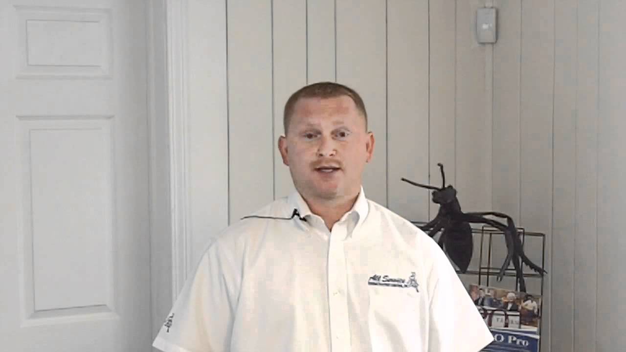 How do I reduce or get rid of termites? | Termite Control Atlanta GA