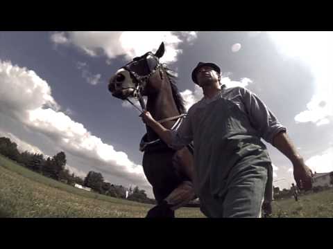 Mord im Heiligenwald finaler Trailer