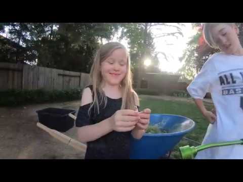 Building our Worm Farm