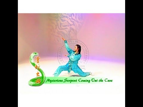 峨嵋蛇拳 (Snake Fist Emei Style) by 梁好 (Helen Liang)