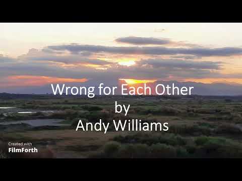 Andy Williams - Wrong for Each Other