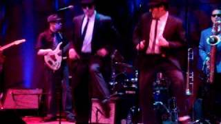 The Blues Brotherhood featuring Tom "Bones" Malone - Everybody Needs Somebody To Love