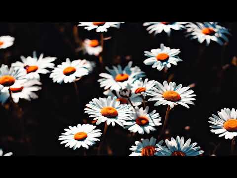 Saje - Who I am (Ft Sabina)