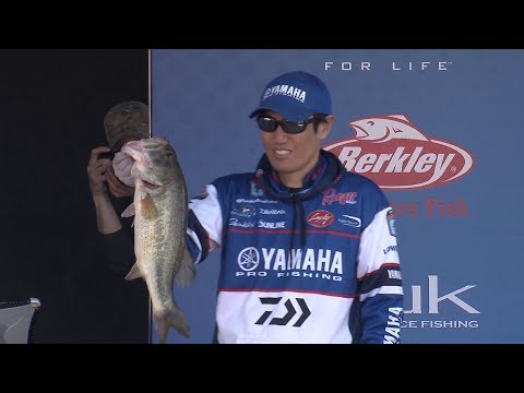 Bassmaster Elite: Lake Martin 2018