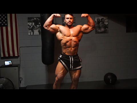 GABRIEL ZANCANELLI REVELA SHAPE | REBOTE APÓS MR OLYMPIA