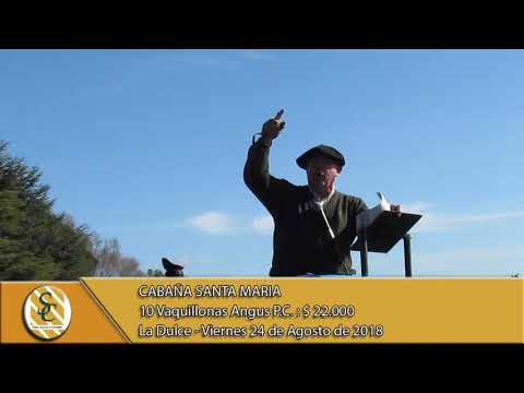 24-08-18 Venta de Vaquillonas P.P. y P.C. - Cabaña Santa Marìa - La Dulce.