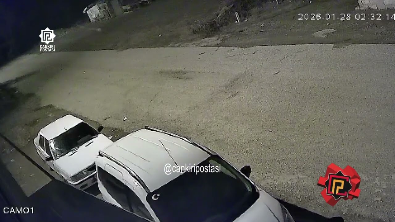 Çankırı’da Yiyecek Arayan Tilki Köpekle Burun Buruna Geldi: O Anlar Kamerada